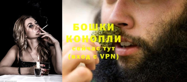 первитин Дмитриев