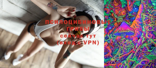 первитин Дмитриев