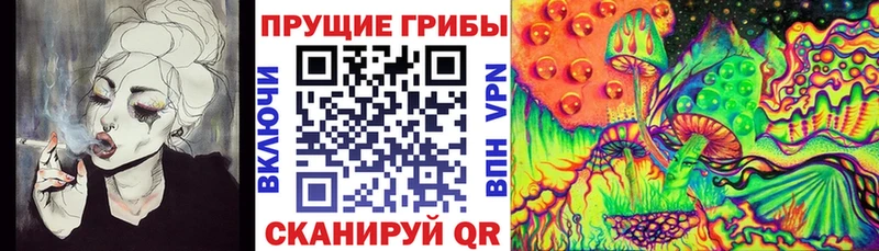 Галлюциногенные грибы мицелий  Жиздра 